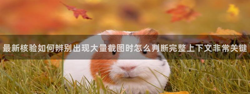 吃瓜网站入口