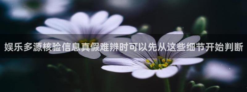 网络热点