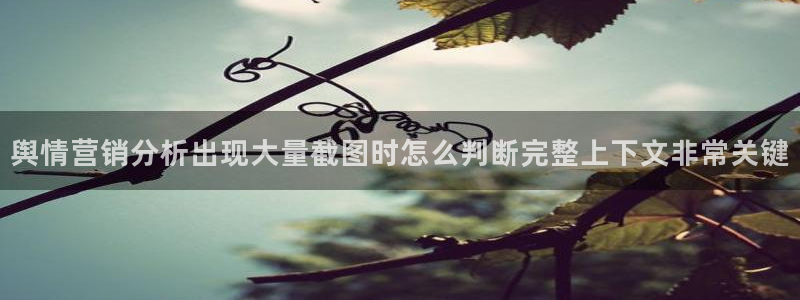 吃瓜热点资讯:舆情营销分析出现大量截图时怎么判断完整上下文非常关键