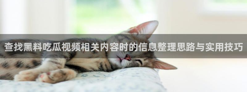 51吃瓜热门事件排行:查找黑料吃瓜视频相关内容时的信息整理思路与实用技巧
