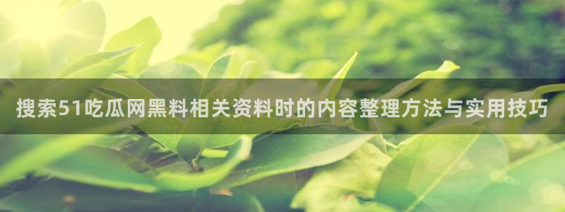 51吃瓜事件内容:搜索51吃瓜网黑料相关资料时的内容整理方法与实用技巧
