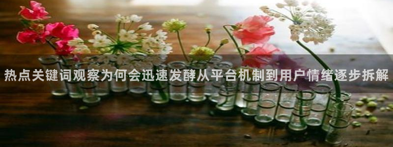 51吃瓜资讯网站:热点关键词观察为何会迅速发酵从平台机制到用户情绪逐步拆解