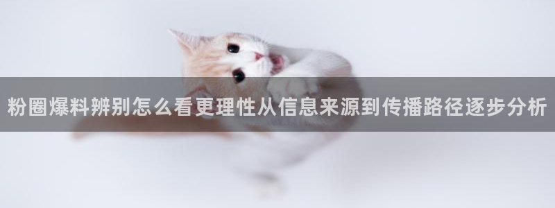 吃瓜最新事件:粉圈爆料辨别怎么看更理性从信息来源到传播路径逐步分析